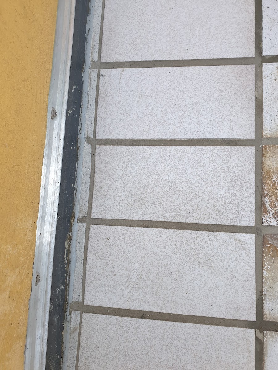 Biermanns Christoph Fliesenverlegung