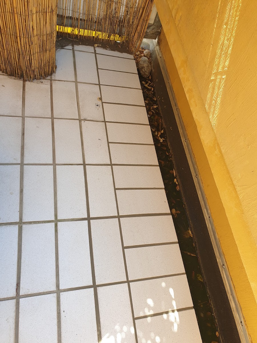 Biermanns Christoph Fliesenverlegung